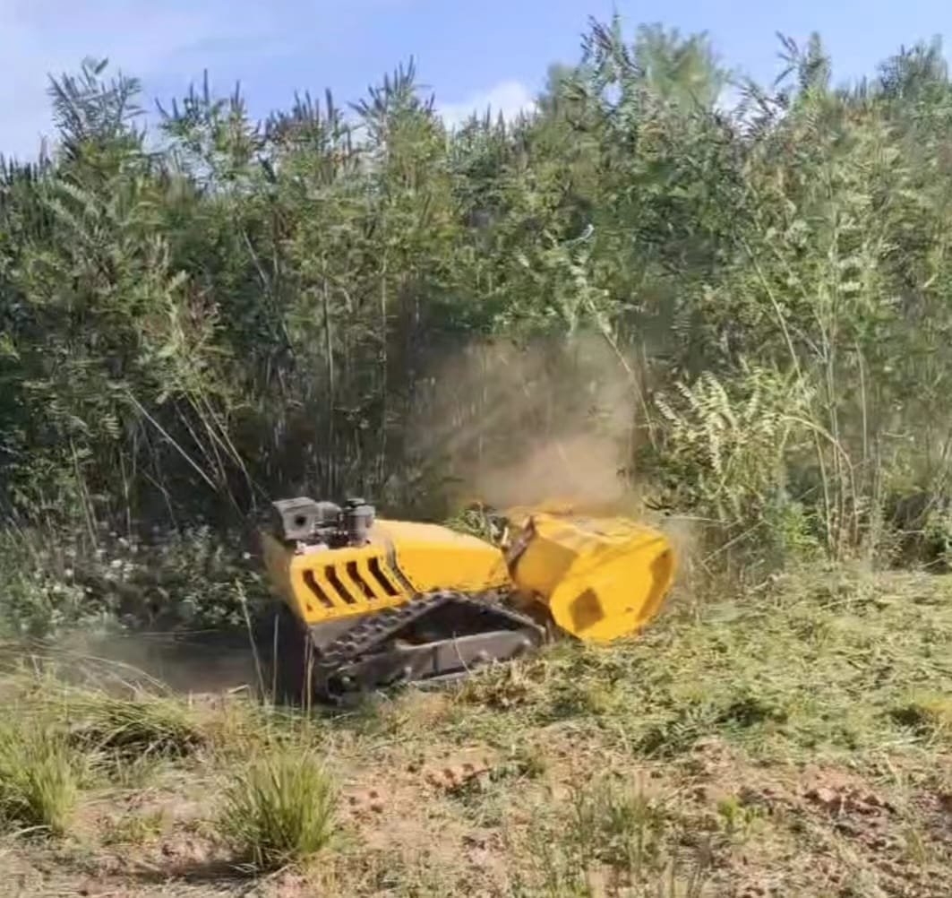 RC Control grass cutting